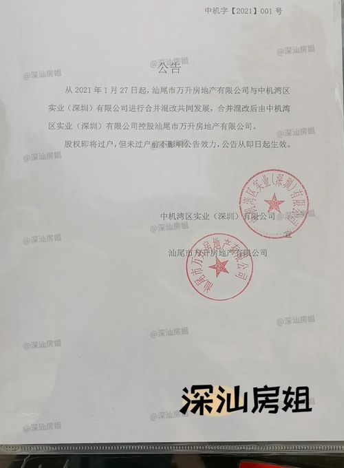 重磅！汕尾高鐵站旁萬升廣場或將易主，國內貿易代理或成新起點